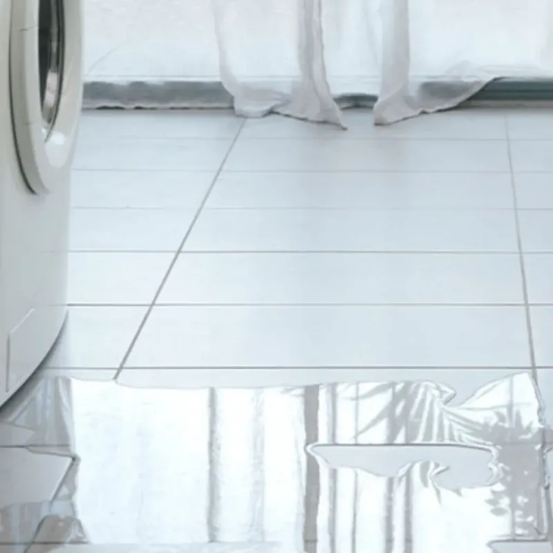 Appliance Leak Cleanup in Shawano, WI