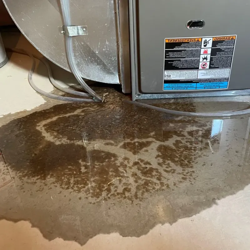 Pipe Burst and Leak Restoration in Shawano, WI